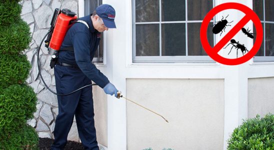 Sincan Böcek ve Haşere İlaçlama böcek ilaçlama ve haşere kontrolü — ilaclama-tr.com